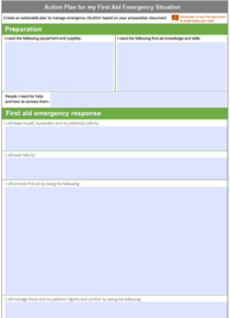 PTS Action Plan Template